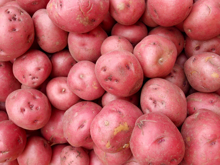 Baby Red Potatoes