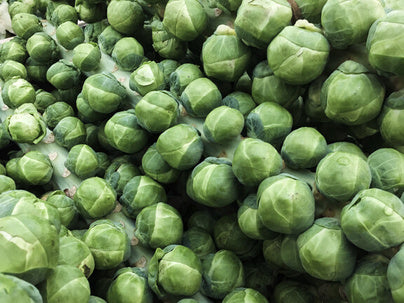 Brussels Sprouts