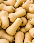 Butternut Squash