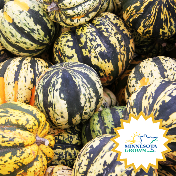 Carnival Squash - Bushel