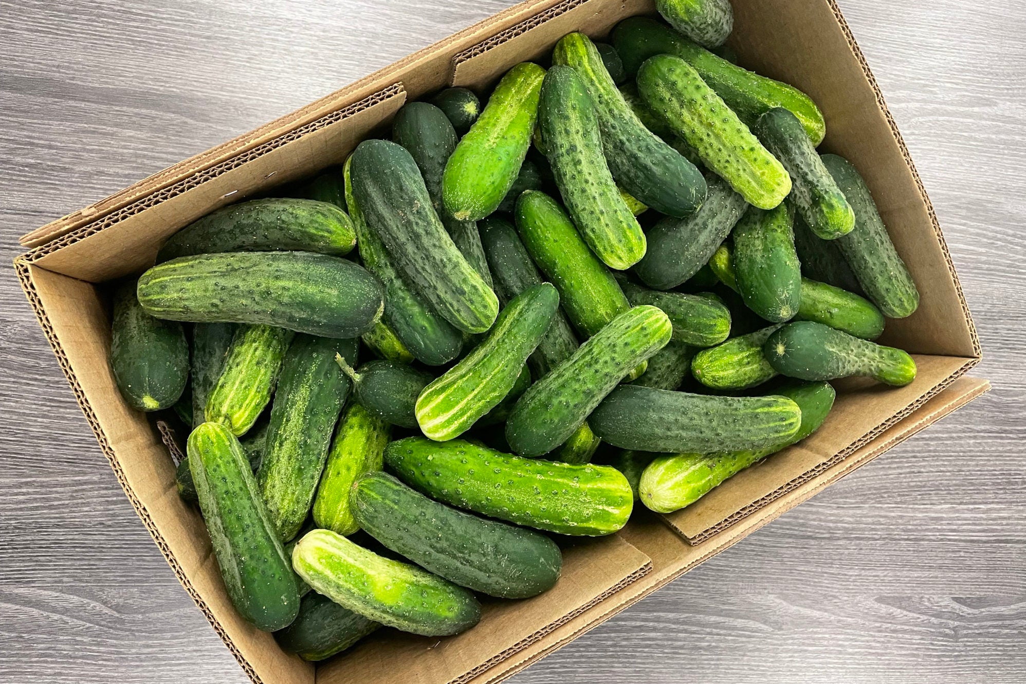 chub-cucumbers-bulk-2000-15-rotated.jpg__PID:23068940-f4ef-4046-9839-9855cdf29a0e