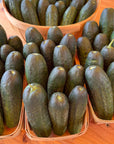 Chub Cucumbers