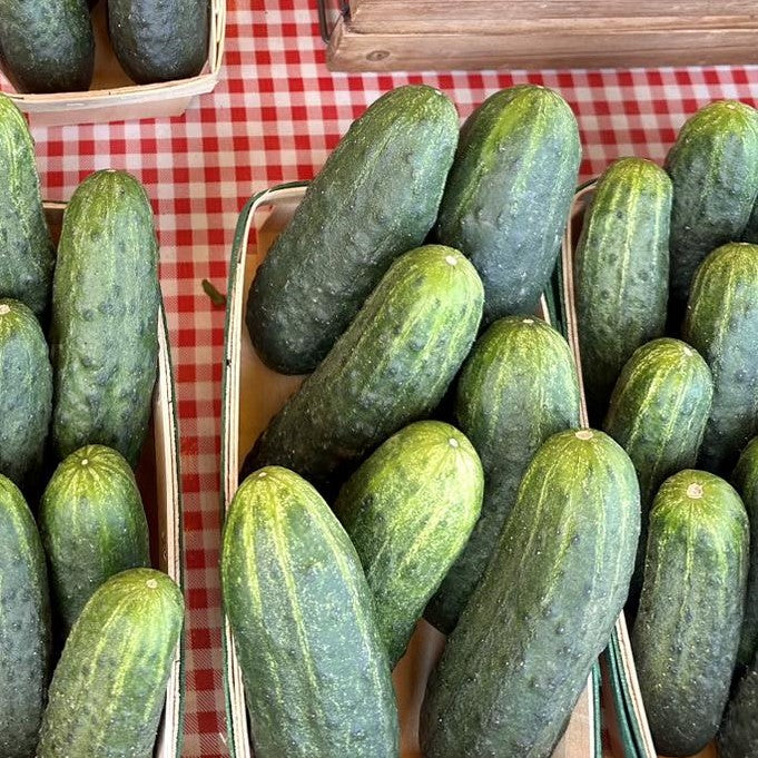 cucumber tomato zucchini 2024.jpg__PID:d344593a-5060-46fa-bc69-6d560a0ed930