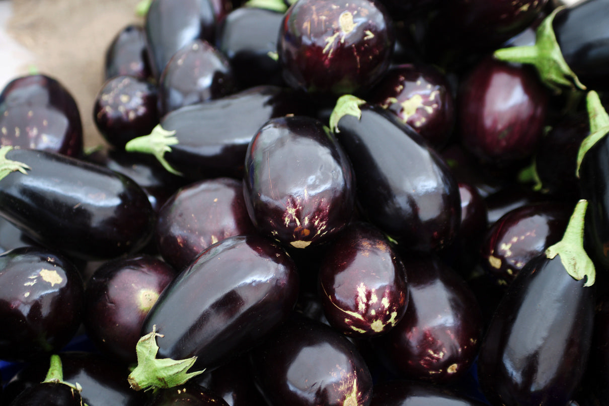 Eggplant