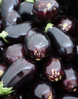Eggplant