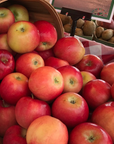 Apples