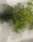 Fresh Dill