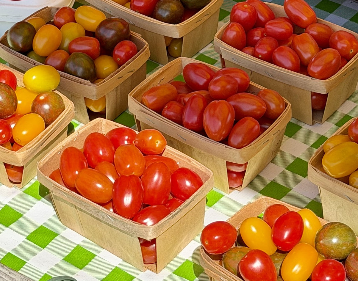 Grape Tomatoes