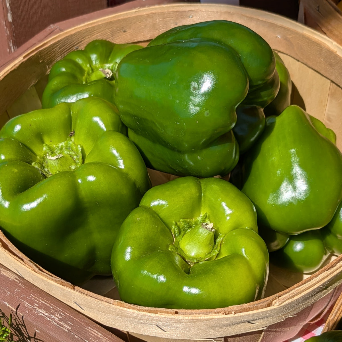 Peppers (Sweet)