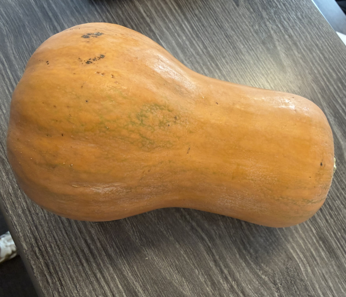 Honeynut Squash