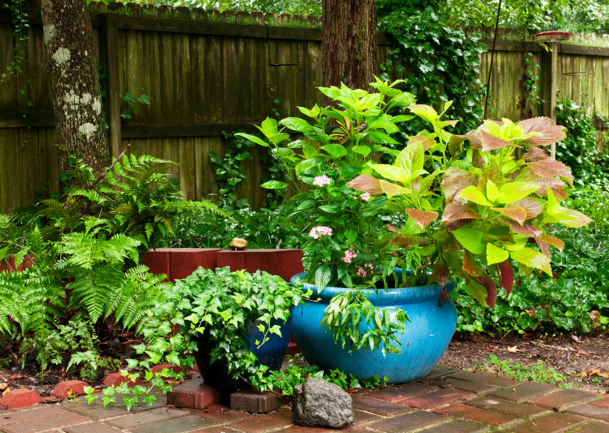 potted plants 101 Patio Pot Planting 101 – Untiedt's Vegetable Farm