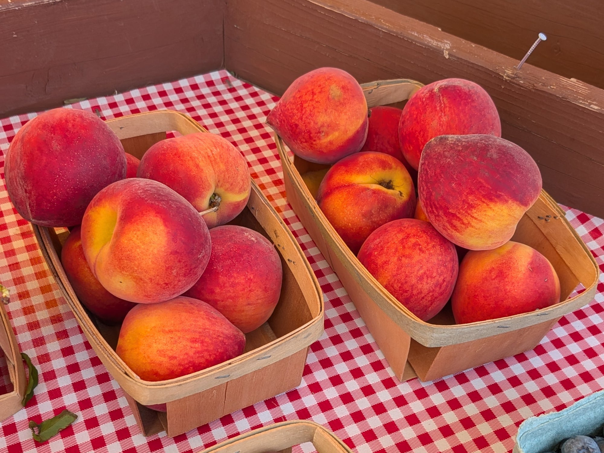 Dutton Peach Peaches – Untiedt's Vegetable Farm