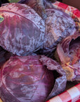Cabbage