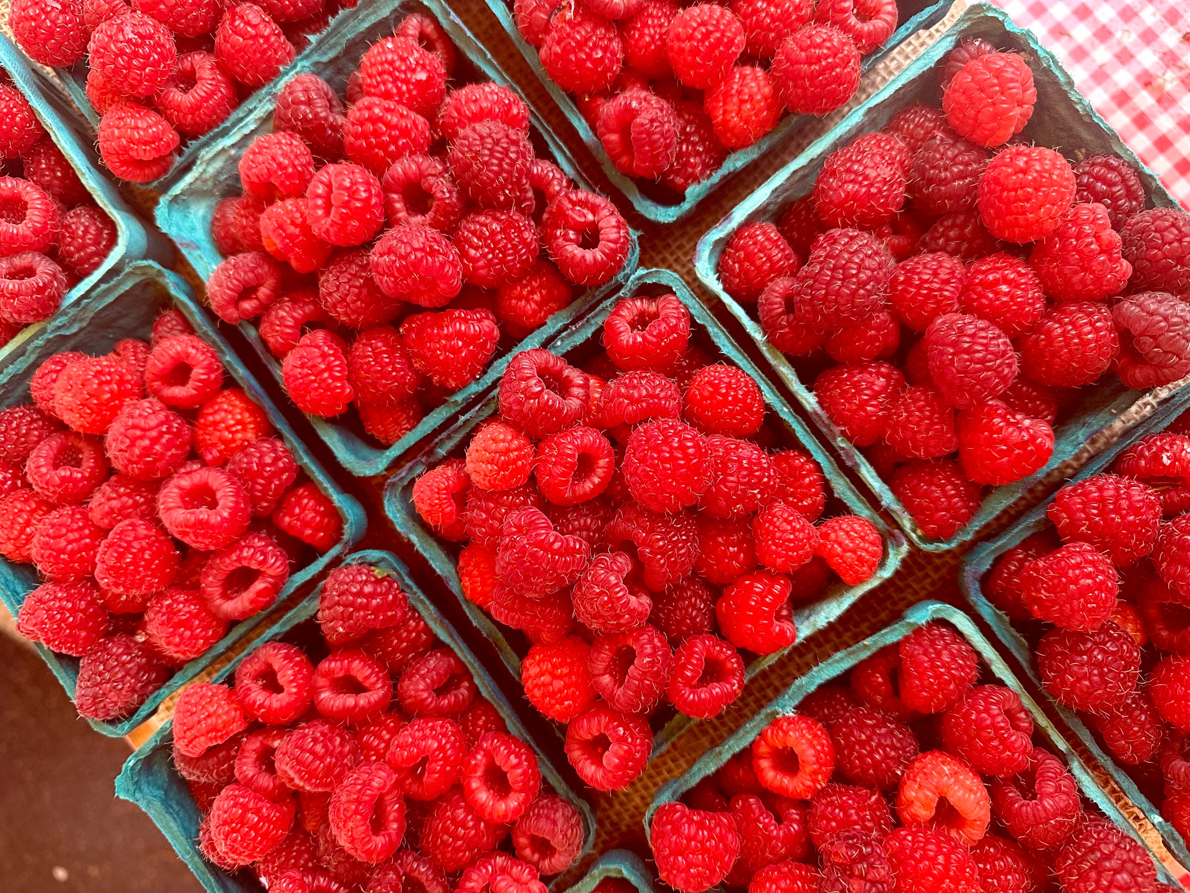 Raspberries - 1 flat – Untiedt's Vegetable Farm