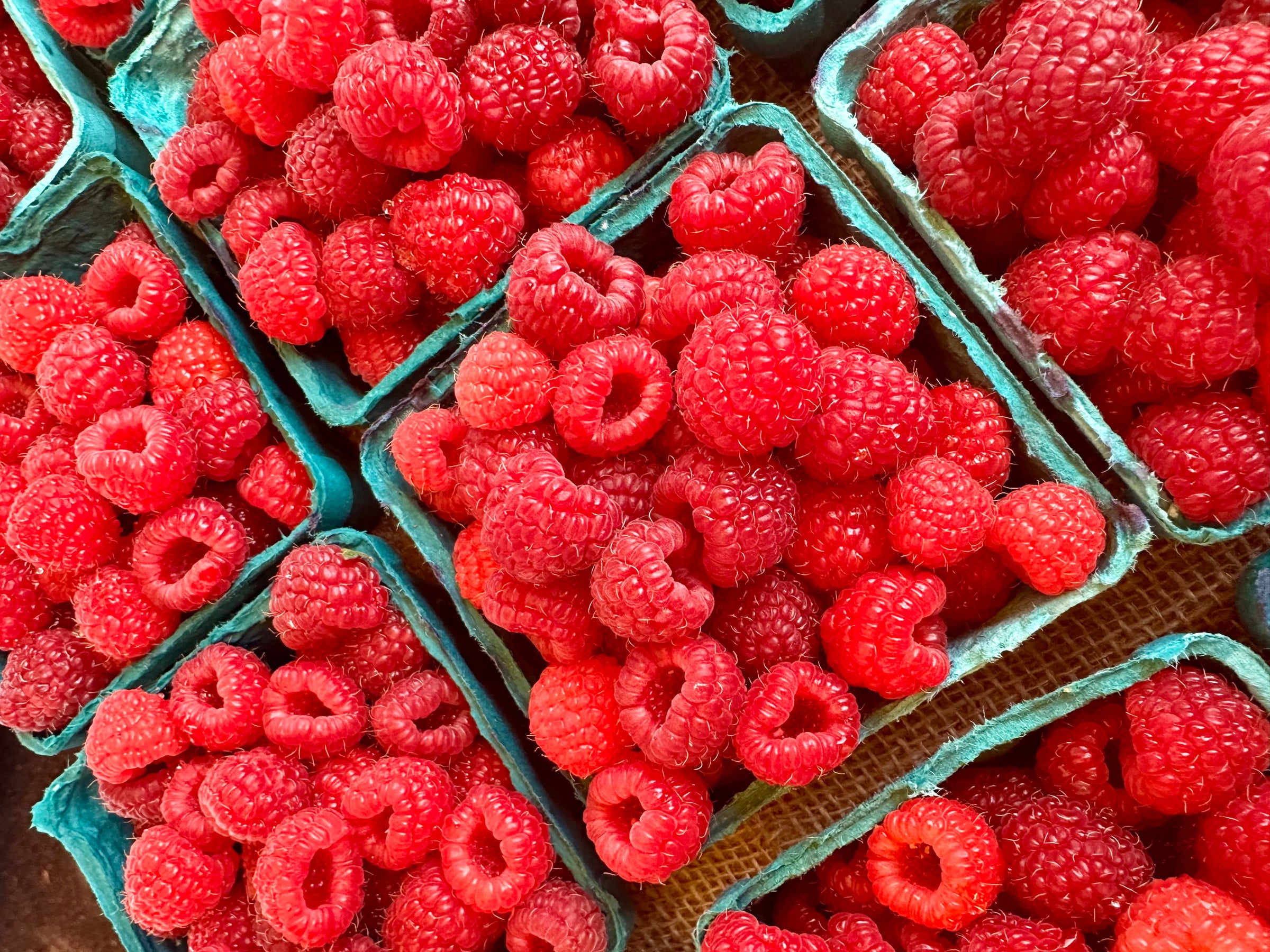 Raspberries - 1 flat β Untiedt's Vegetable Farm