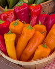Peppers (Sweet)