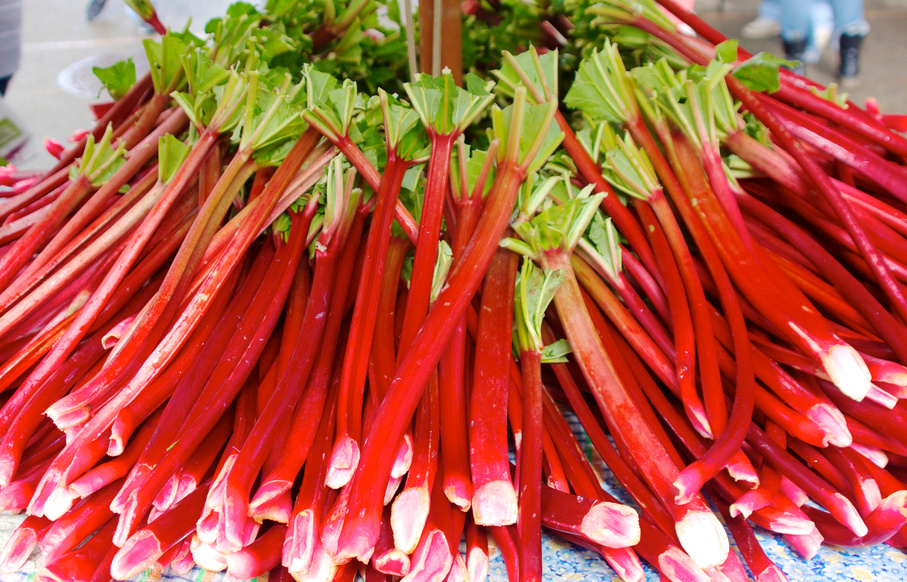 Rhubarb