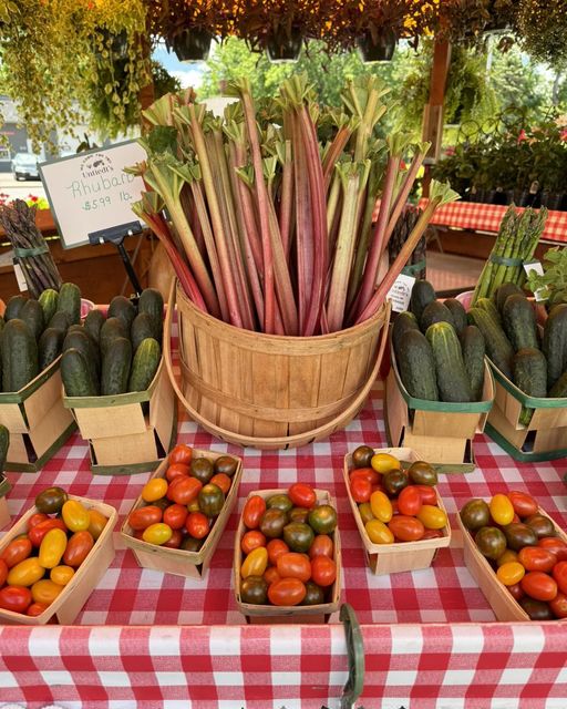 Rhubarb