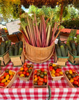 Rhubarb