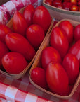 San Marzano Roma Tomatoes