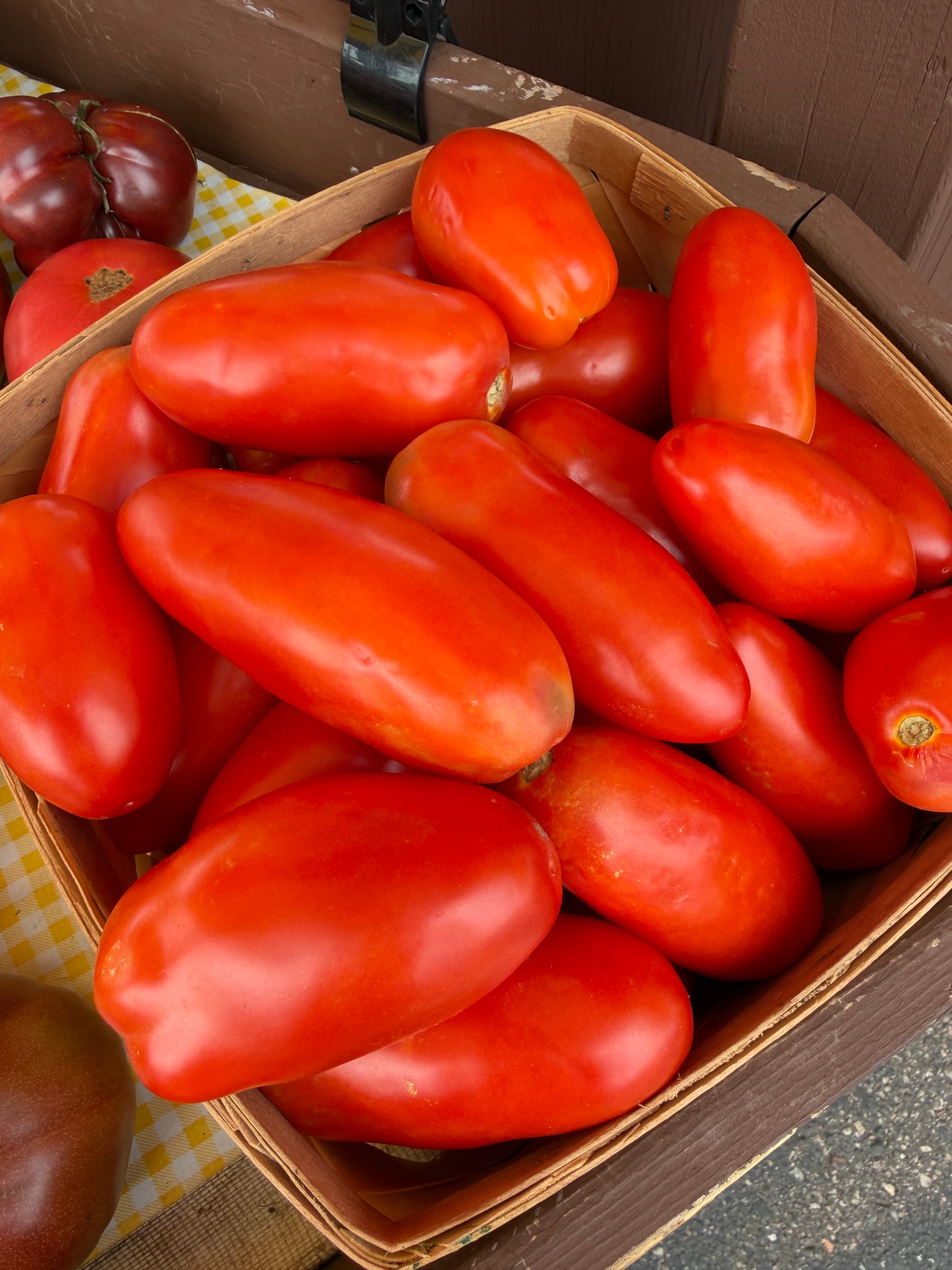 San Marzano Roma Tomatoes