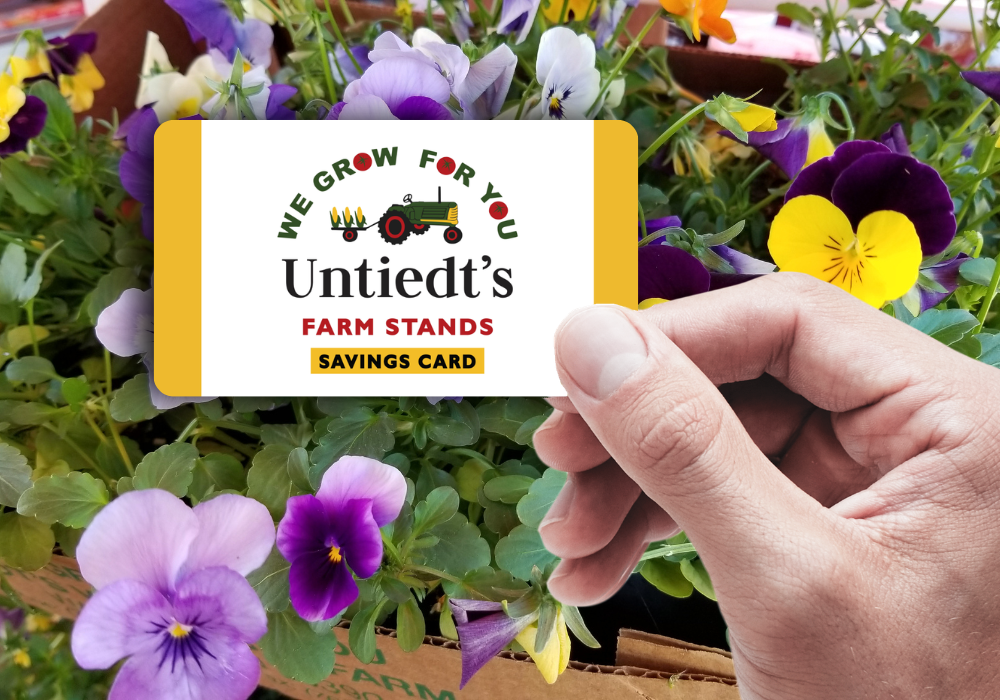 savings card - physical card.png__PID:7834c7e5-e97d-45e5-9d4e-736a97824d34