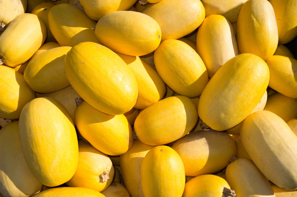 Spaghetti Squash