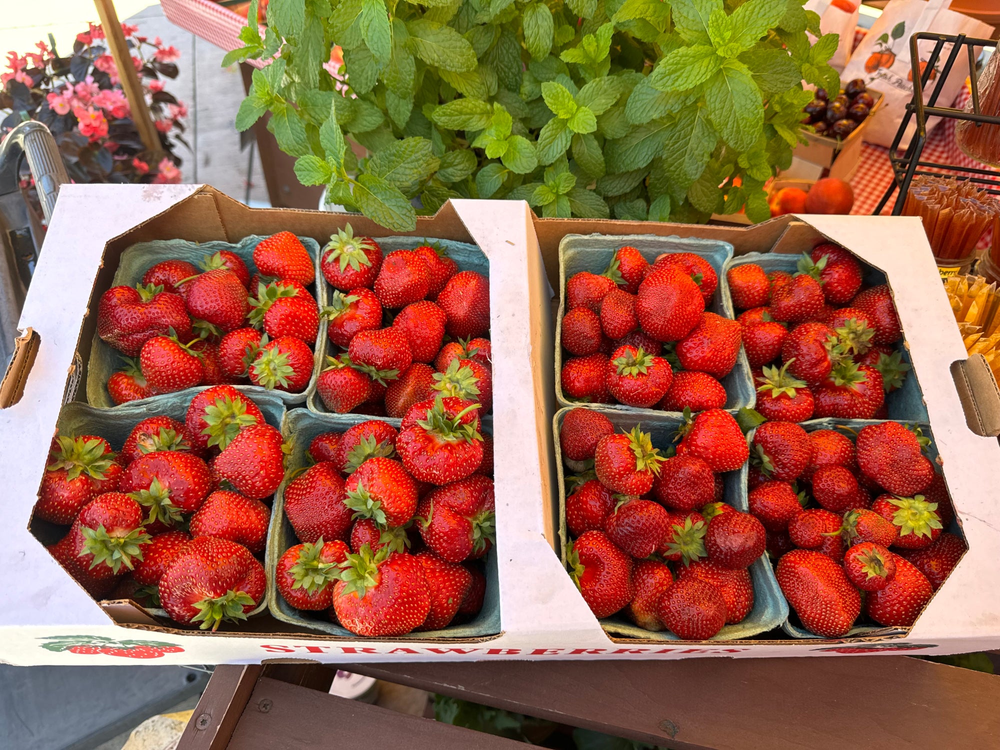 Strawberries 1 Flat Untiedt s Vegetable Farm All For One strawberries-1-flat-untiedt-s-vegetable-farm-all-for-one