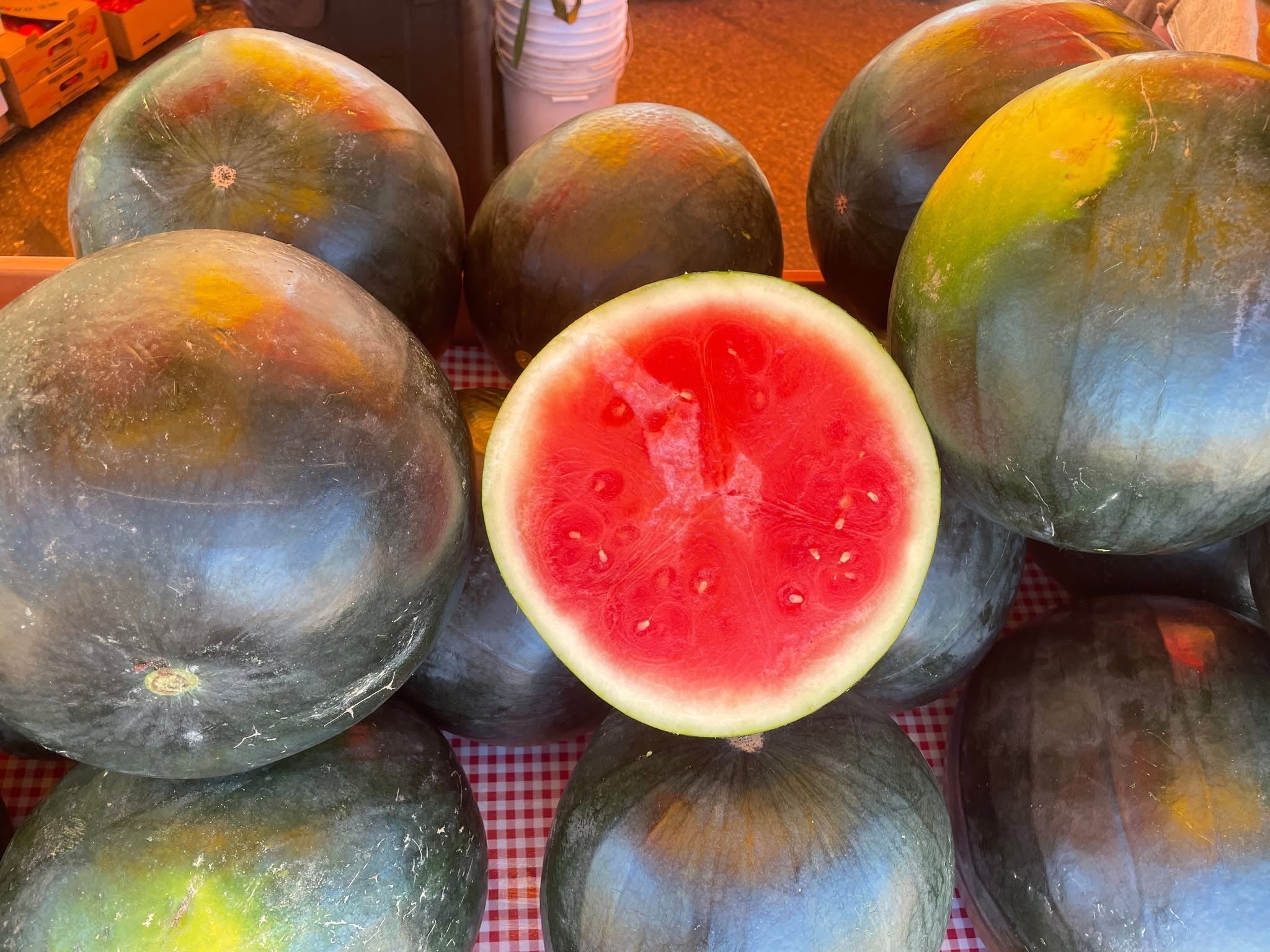 Optima Watermelon Watermelons – Untiedt's Vegetable Farm