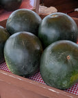 Watermelons