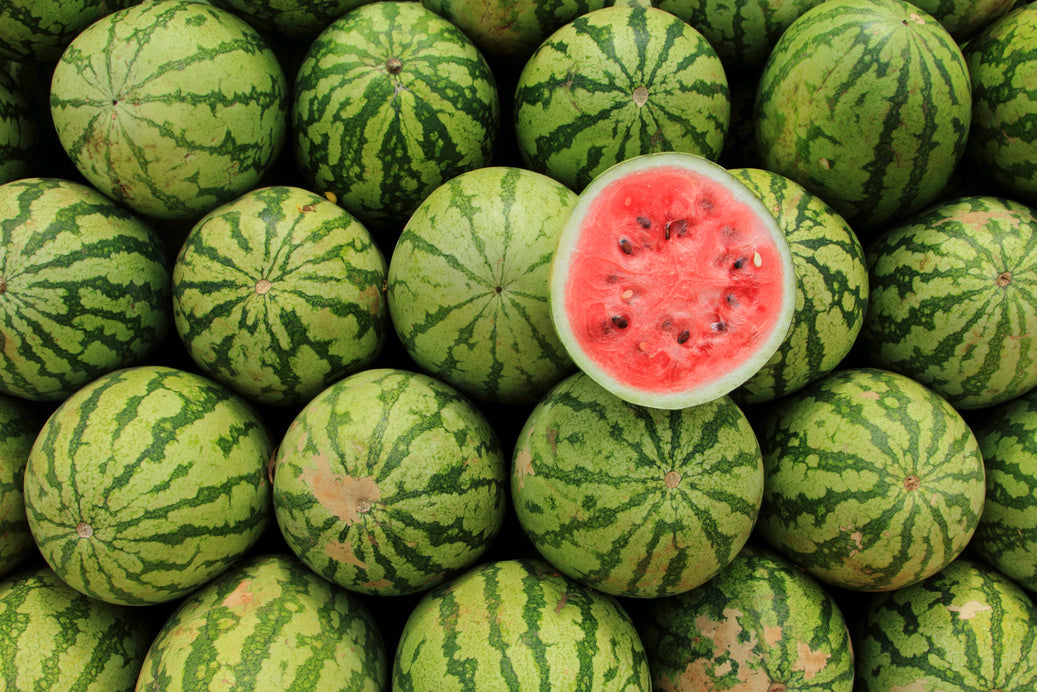 Watermelons – Untiedt's Vegetable Farm