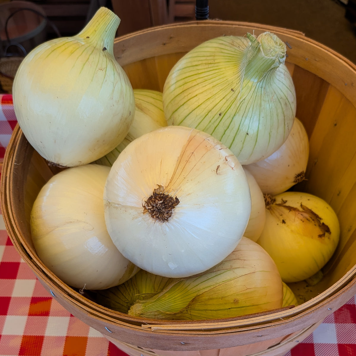 Onions