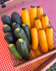 zucchini 2024.jpg__PID:8510d344-593a-4060-86fa-3c696d560a0e